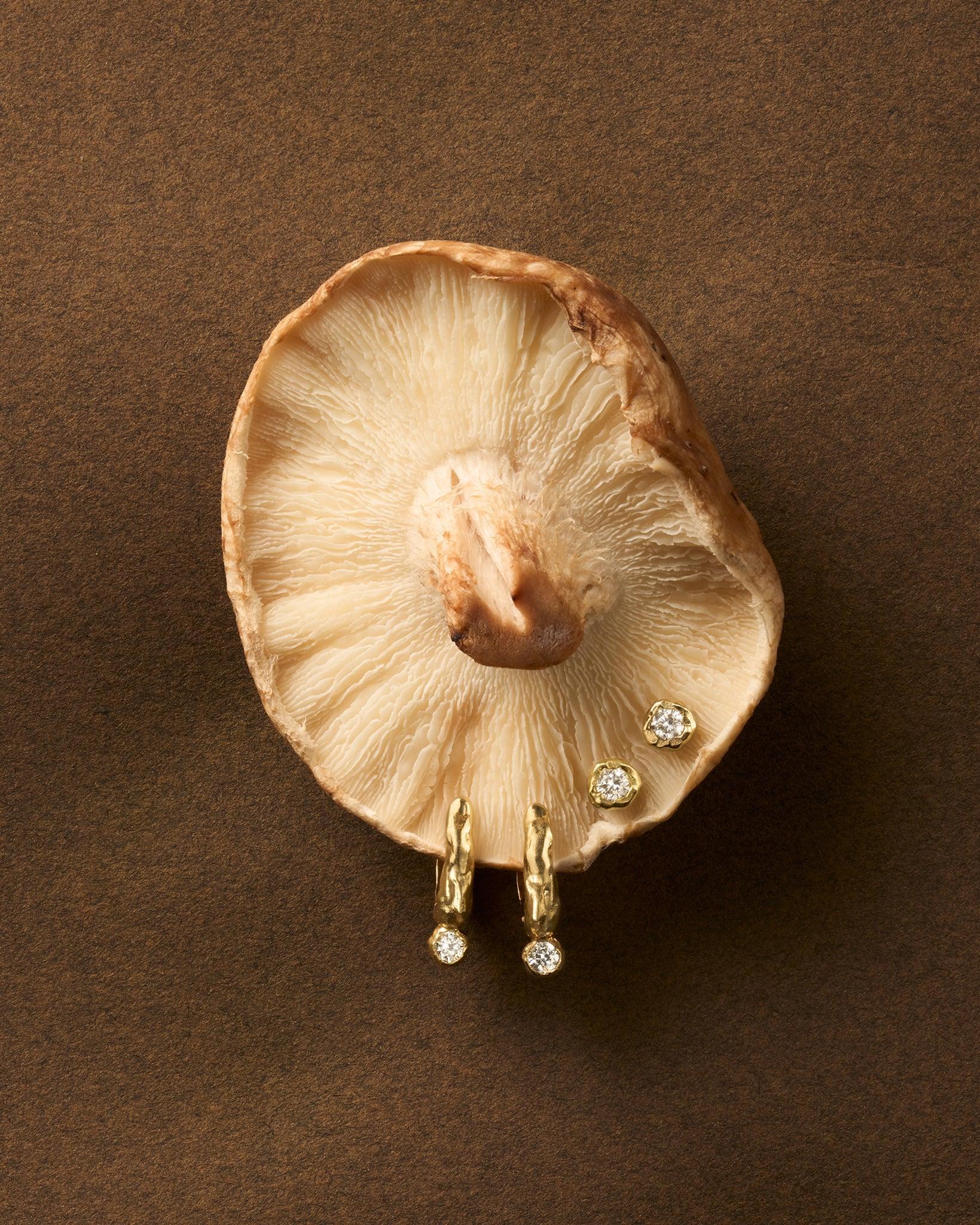Ada Hoop Earrings - Image 5