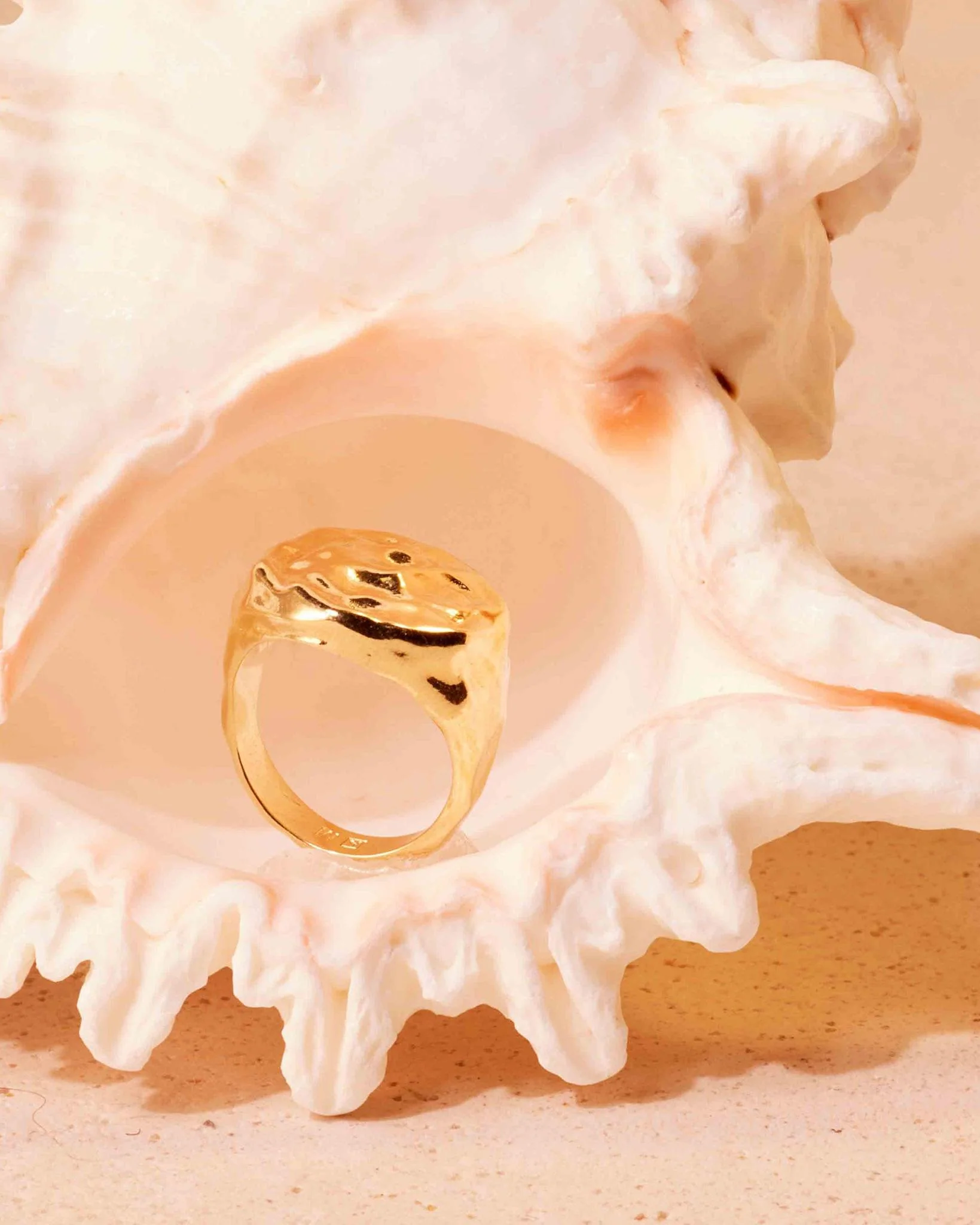 Antonia Ring - Image 6