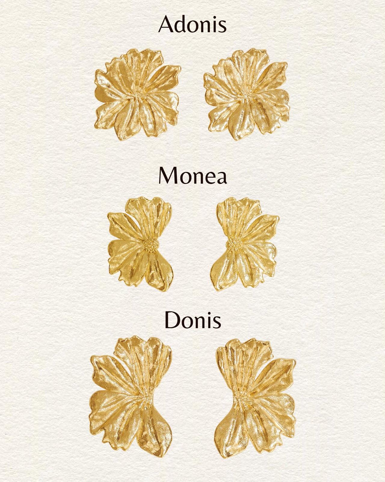 Donis Large Earrings - Image 4