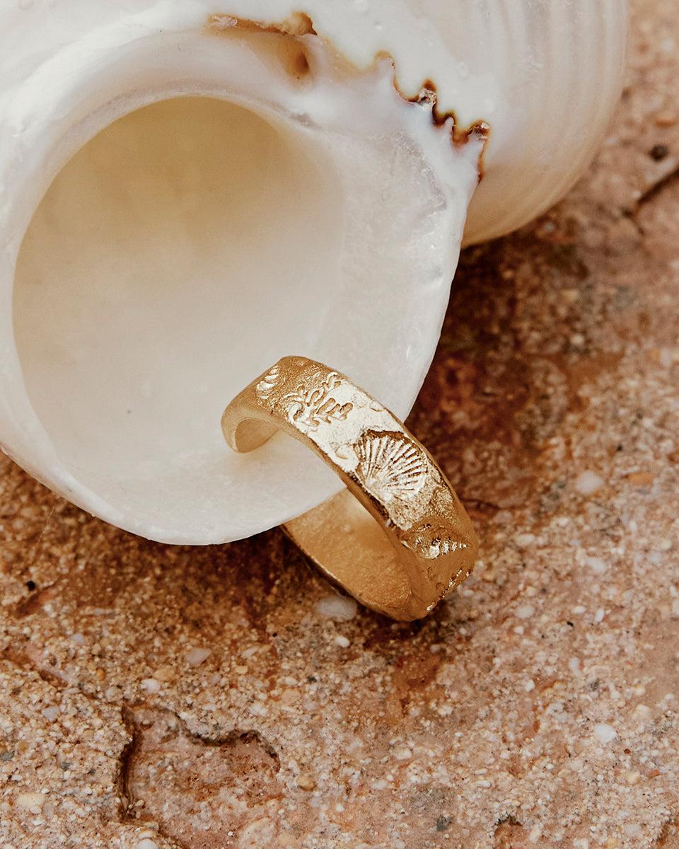 Nucella Ring - Image 3